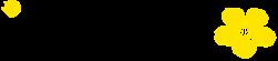 DƬ